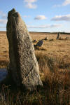 Fernacre Circle, Bodmin