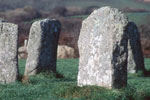 The Merry Maidens