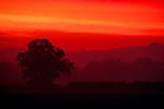 Bucklebury sunrise